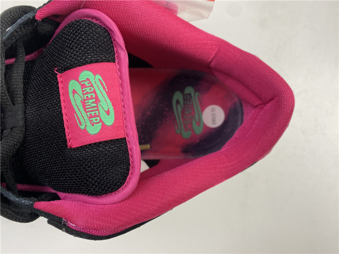 nike dunk sb low premier "N0*Hern lights" - 724183-063